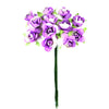image variant Lavanda