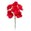 image variant Rojo