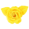 image variant Amarillo