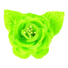image variant Verde