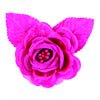 image variant Fiusha