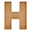 image variant H