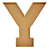 image variant Y