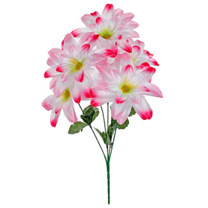 Art.2030 Bush Chico Flor Grande x5