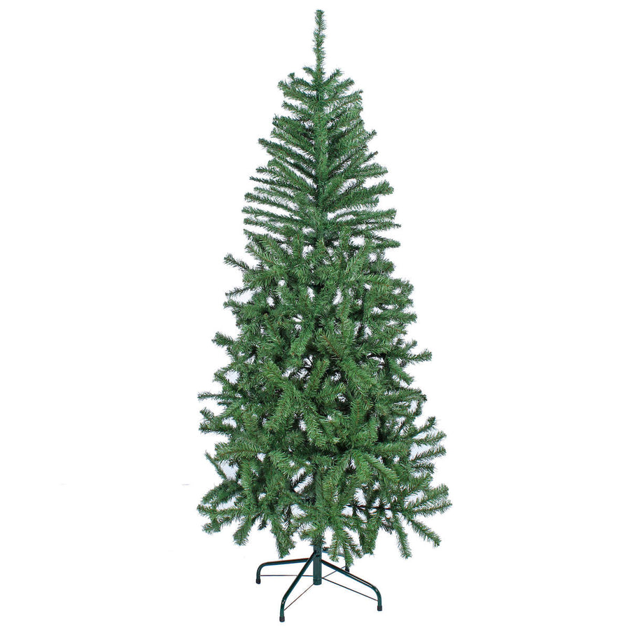 Art.211 Pino Delgado Frondoso