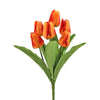 image variant Naranja
