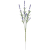 image variant Lavanda