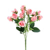 image variant Rosa