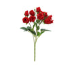 image variant Rojo