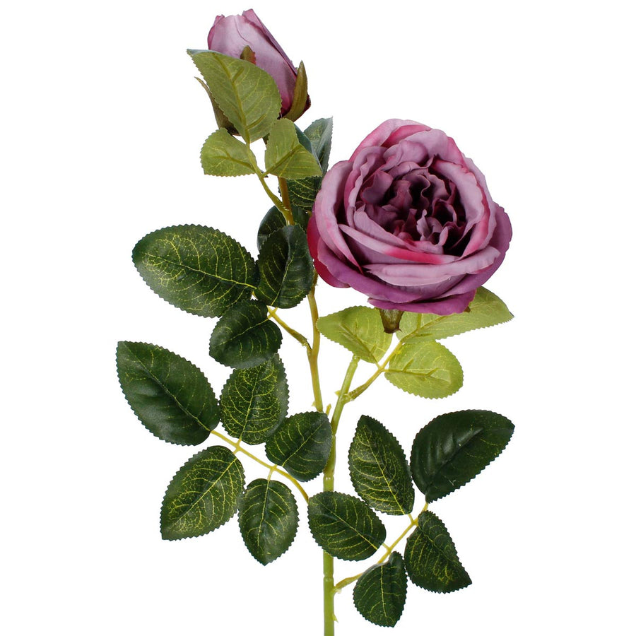 Art.2406 Vara De Rosa Fina Color Especial 67cm 1pz