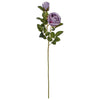 image variant Lavanda