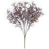 image variant Lavanda