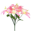 image variant Rosa