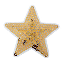 Art.2675 Aplicación Bordada Para Planchar Estrella