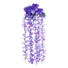 image variant Morado