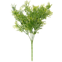 Art.2934 Planta Fina x5
