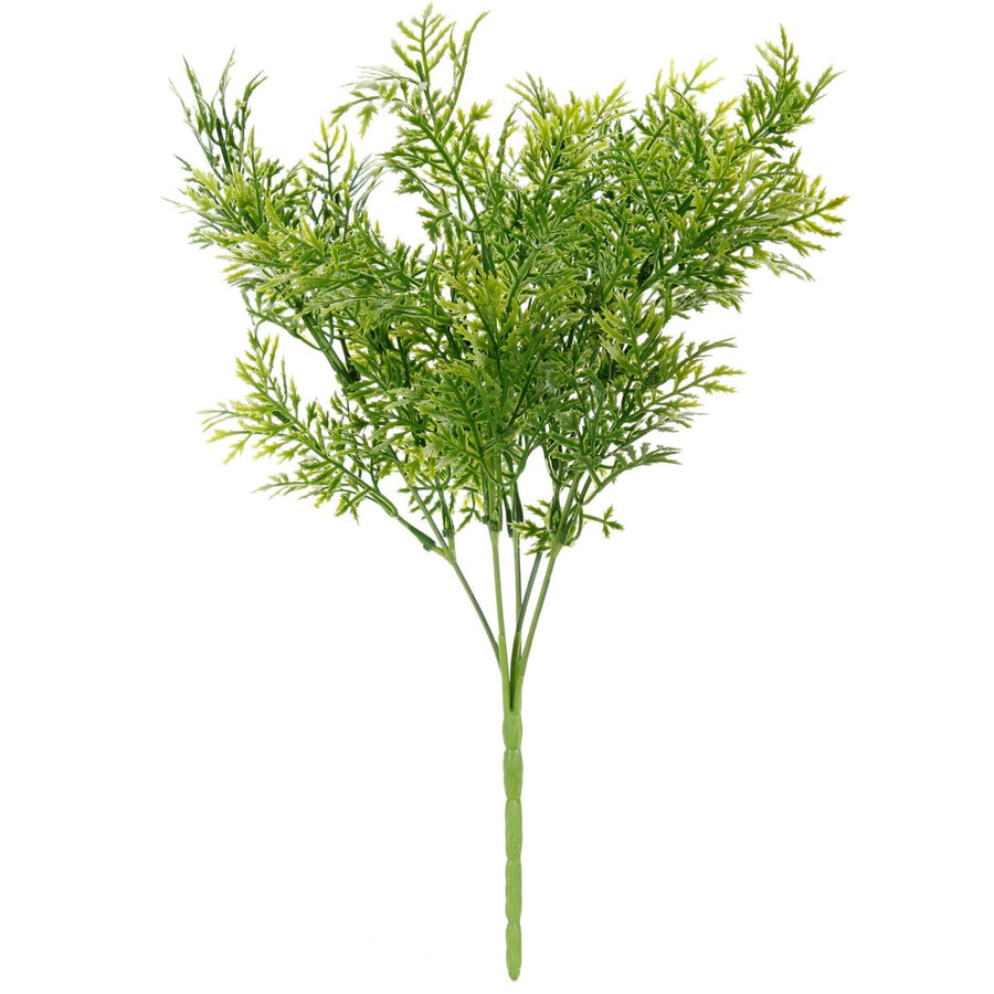 Art.2934 Planta Fina x5