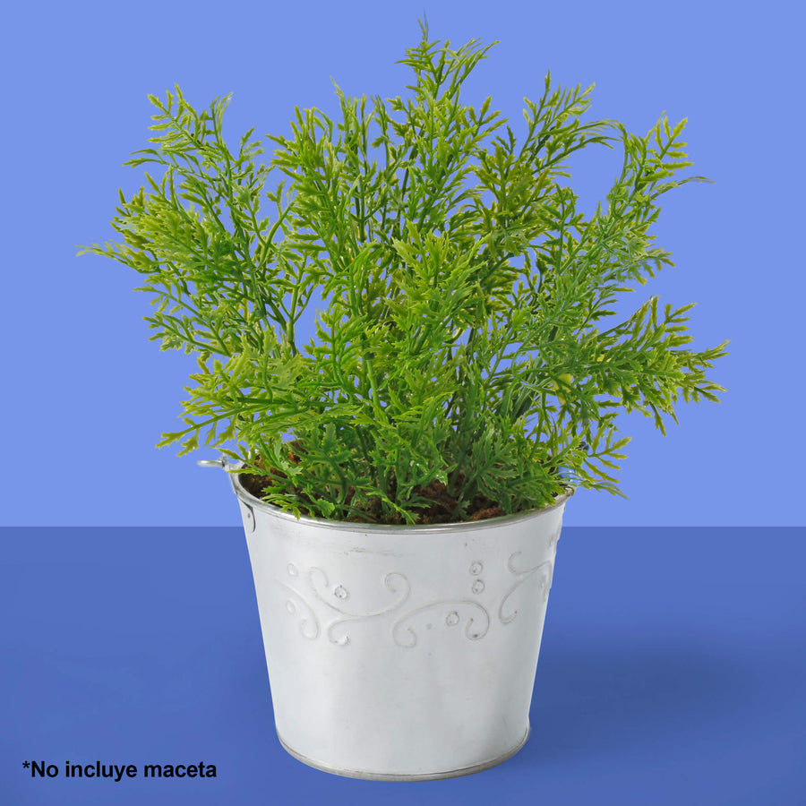 Art.2934 Planta Fina x5 30cm 1pz