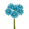 image variant Azul Claro