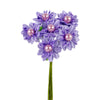 image variant Lavanda
