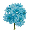 image variant Azul Claro