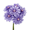 image variant Lavanda