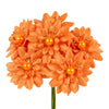 image variant Naranja