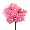 image variant Rosa