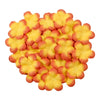 image variant Naranja
