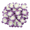 image variant Morado