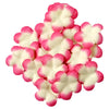image variant Fiusha
