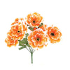 image variant Naranja
