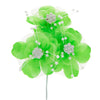 image variant Menta