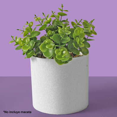 Fantasías Miguel Art.3044 Planta Mini  Con 4 Varas 25cm 1pz