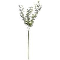 Art.3053 Vara De Eucalipto X 3
