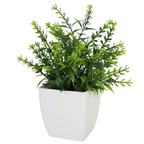 Art.3292 Arreglo Plantital Con Base