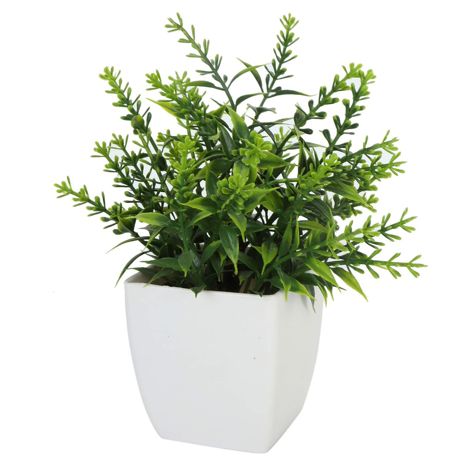 Art.3292 Arreglo Plantital Con Base