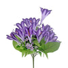 image variant Morado