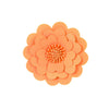 image variant Naranja