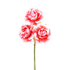 image variant Rosa