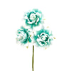 image variant Menta