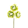 image variant Verde