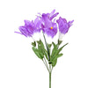 image variant Morado