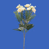 image variant Blanco/Crema