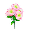 image variant Rosa