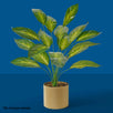 Fantasías Miguel Art.3891 Planta Fina x18 60cm 1pz