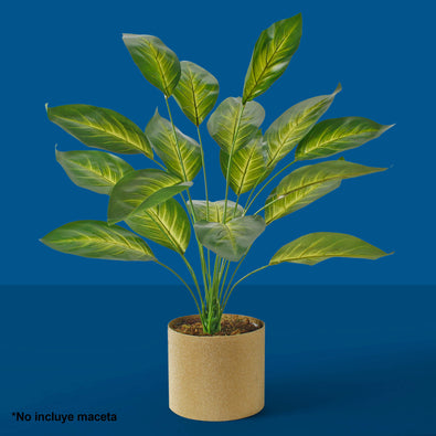 Fantasías Miguel Art.3891 Planta Fina x18 60cm 1pz
