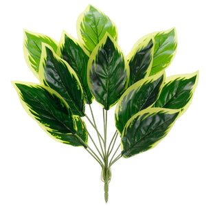 Art.3896 Planta Fina X12
