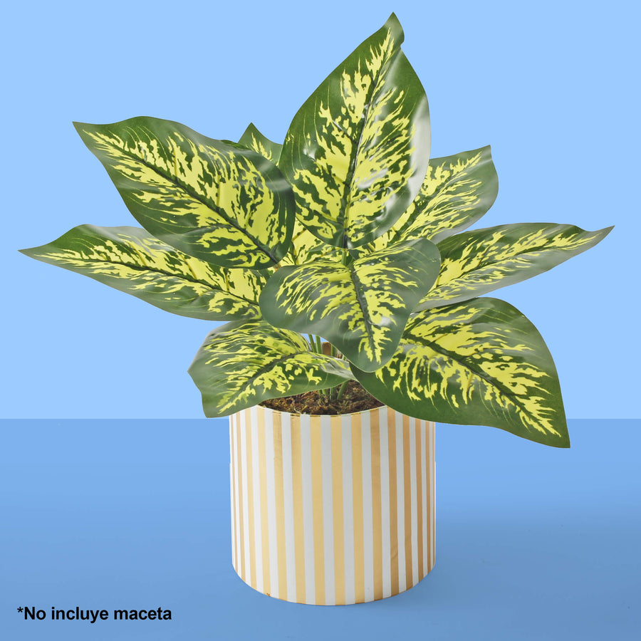 Art.3897 Planta Fina x9 32cm 1pz