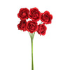 image variant Rojo